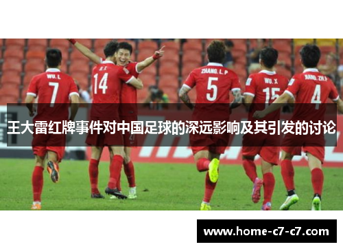 王大雷红牌事件对中国足球的深远影响及其引发的讨论