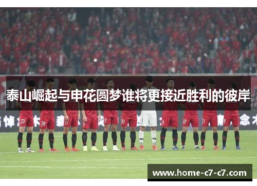 泰山崛起与申花圆梦谁将更接近胜利的彼岸