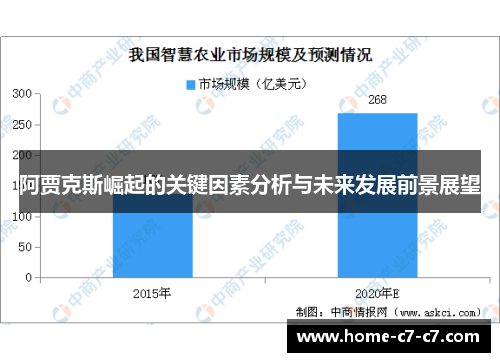 阿贾克斯崛起的关键因素分析与未来发展前景展望