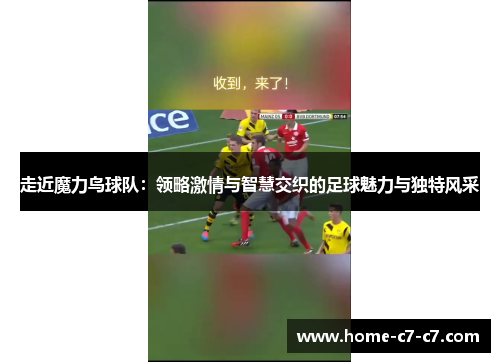 走近魔力鸟球队:领略激情与智慧交织的足球魅力与独特风采 走近魔力鸟球队:领略激情与智慧交织的足球魅力与独特风采
