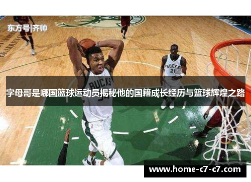 字母哥是哪国篮球运动员揭秘他的国籍成长经历与篮球辉煌之路