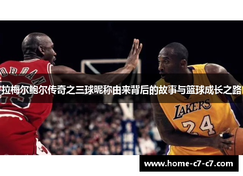 拉梅尔鲍尔传奇之三球昵称由来背后的故事与篮球成长之路