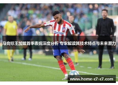 马竞标王加盟首季表现深度分析 专家解读其技术特点与未来潜力