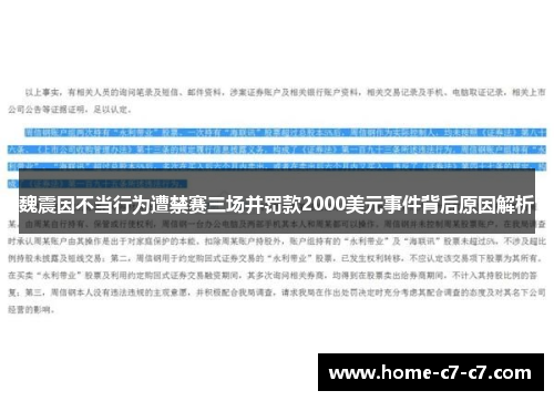 魏震因不当行为遭禁赛三场并罚款2000美元事件背后原因解析
