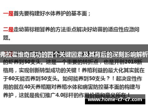 弗拉霍维奇成功的四个关键因素及其背后的深刻影响解析